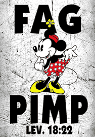 FAG PIMP